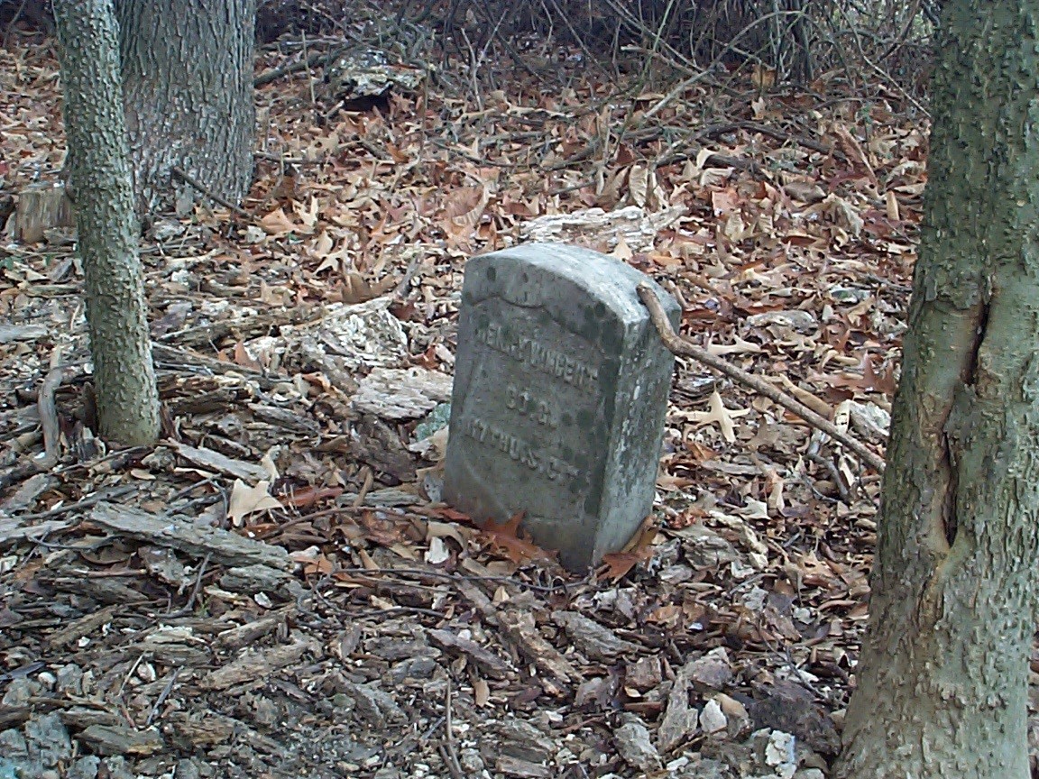 Madison Black Cemetery #2.jpg (499702 bytes)