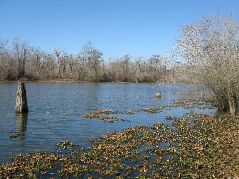 COE Atchafalaya pic 1.jpg (64481 bytes)