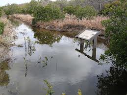 Cape May.jpg (11298 bytes)
