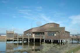 Hayward shoreline ic.bmp (151578 bytes)