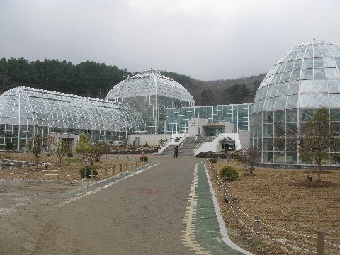 Korea Arb 2.jpg (48809 bytes)