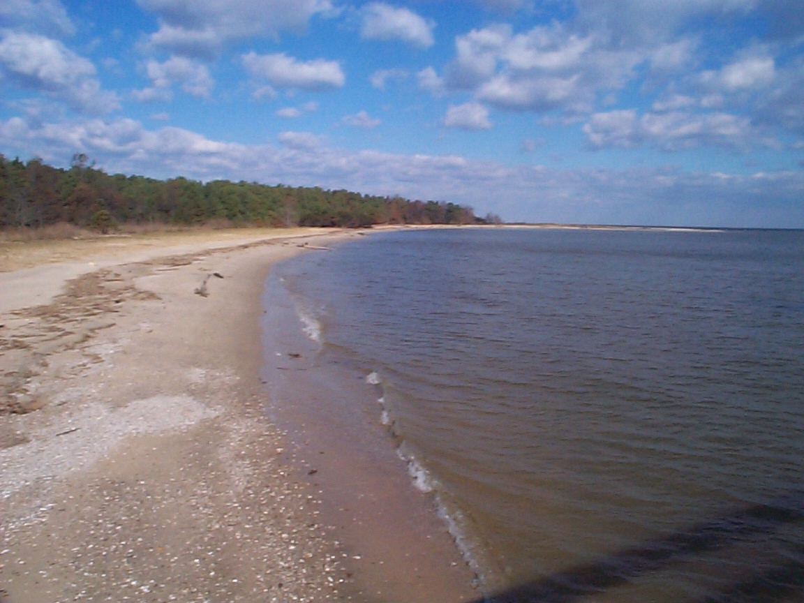 CC=FP - Gen Beach Shoreline.jpg (215914 bytes)