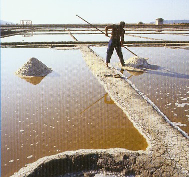 Slovenia - Salt Pans Photo.jpg (59099 bytes)