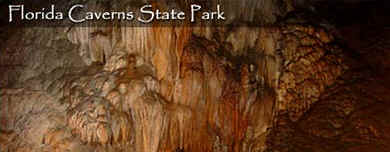 Welcome to our State Park!